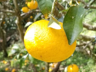 20190322_120958.jpg