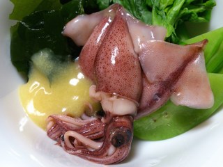 DSC_1572.jpg
