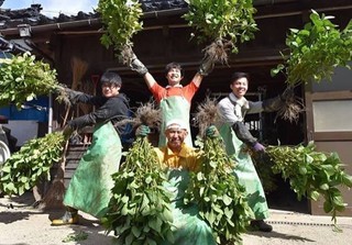 だだちゃ豆 (1).jpg