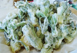 山菜屋天ぷら (2).jpg