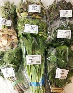 遠藤商店の山菜.jpg