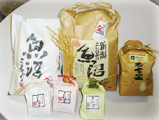 魚沼.jpg