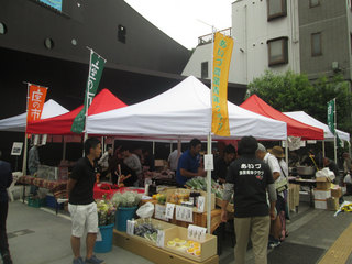IMG_0737.jpg