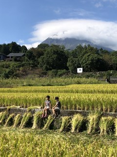 IMG_5200.jpeg