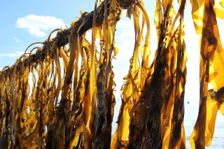 IMG_6006.jpeg