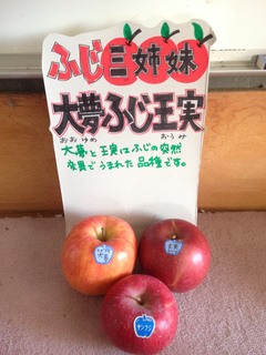 IMG_7344.jpeg