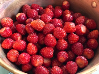 image12.jpeg