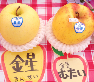 s内村りんご (1).jpg